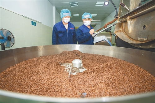 從田間到舌尖 海南農墾發力精深加工，讓土特產鏈上“新食尚”